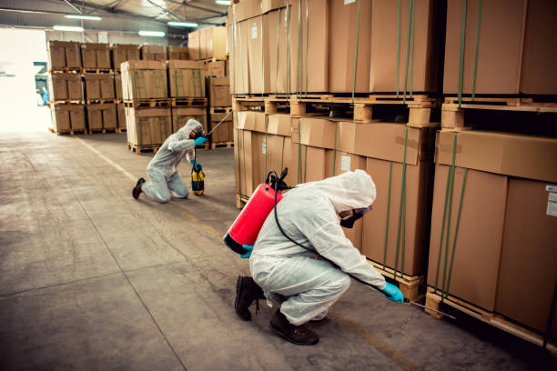 Best Pest Prevention Services  in Alexander, AR