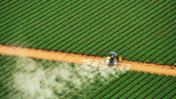 Reliable Alexander, AR Pest Control Solutions