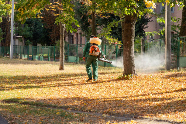 Best Local Pest Control Services  in Alexander, AR