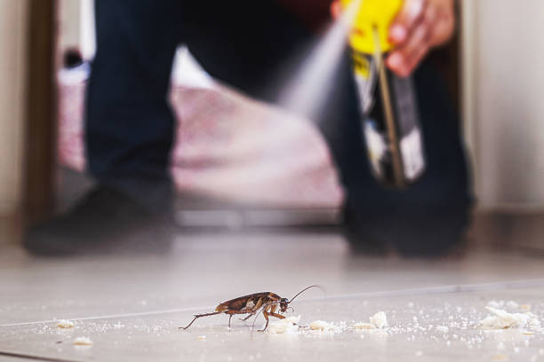 Best Residential Pest Control  in Alexander, AR