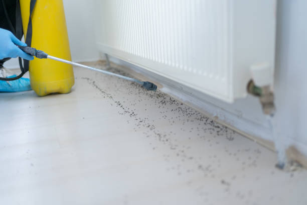 Best Pest Removal Services  in Alexander, AR